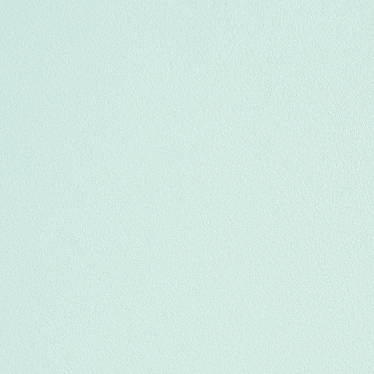 Home Mint Green Set Of 2 Lightweight Polypropylene Chairs