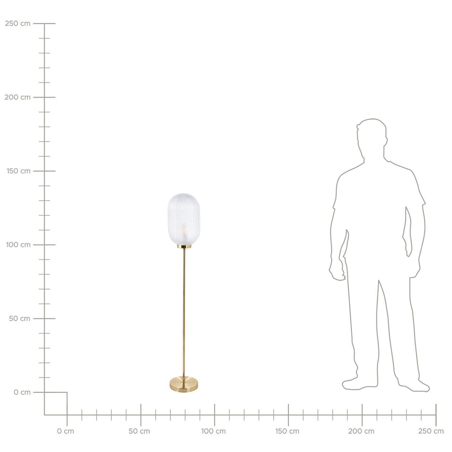 Floor Lamp Gold Metal Base Glass Shade Modern Elegance