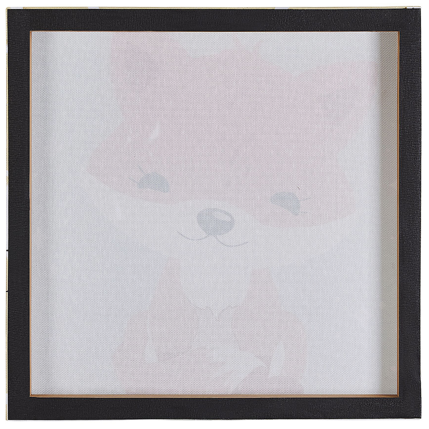 Multicolour Animal Canvas Prints Set of 4 30 x 30cm Wall Art