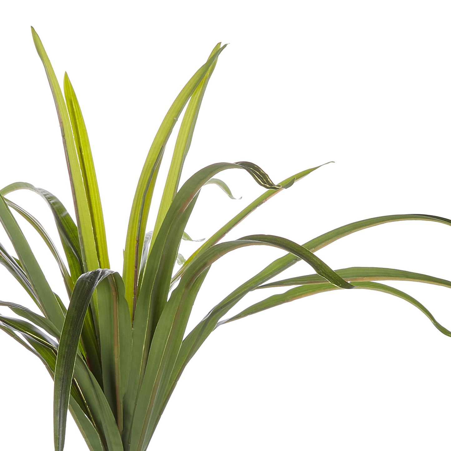 Green Artificial Dracaena 147cm Tall Potted Indoor Plant