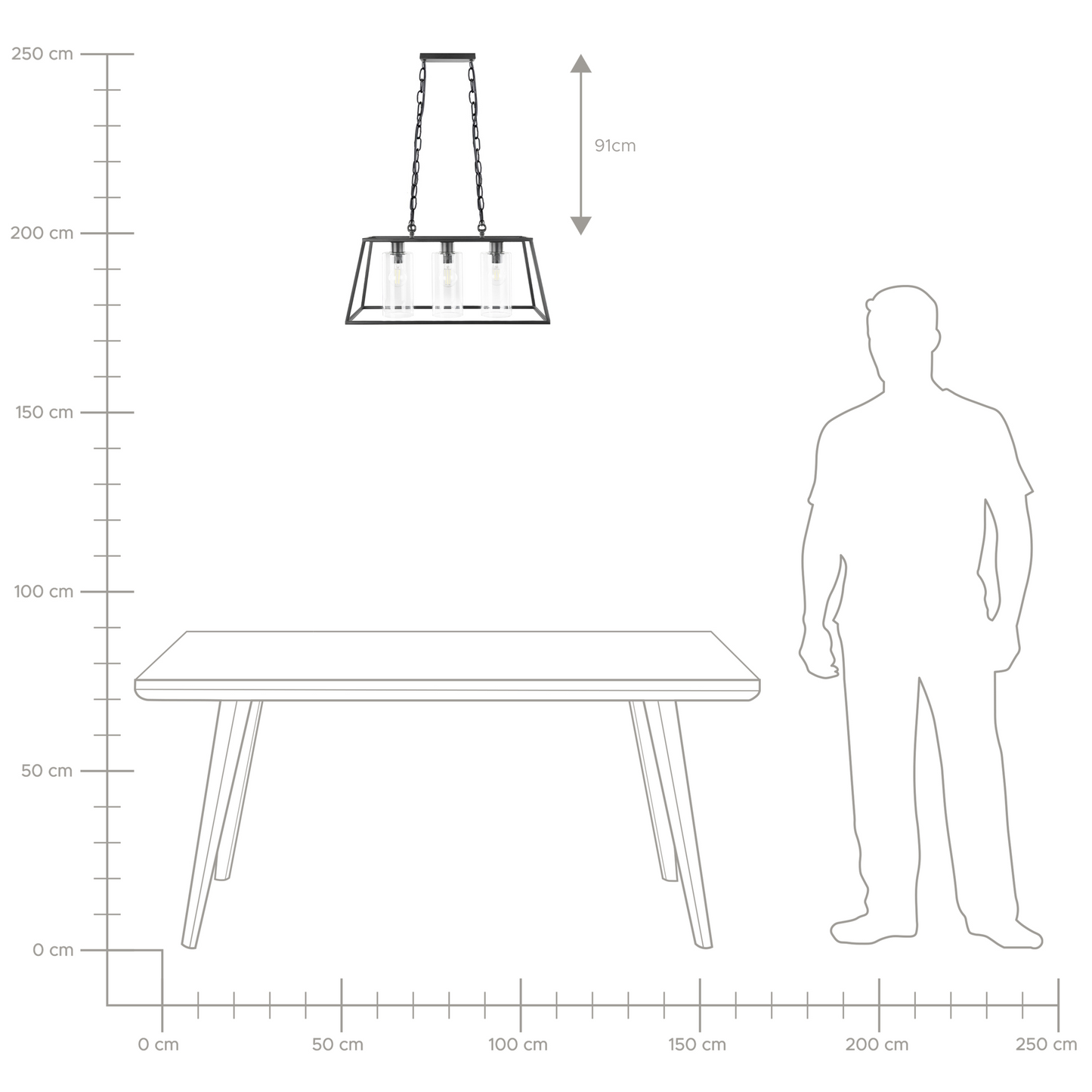 Pendant Lamp Black Cage Frame 117cm Glass Shades