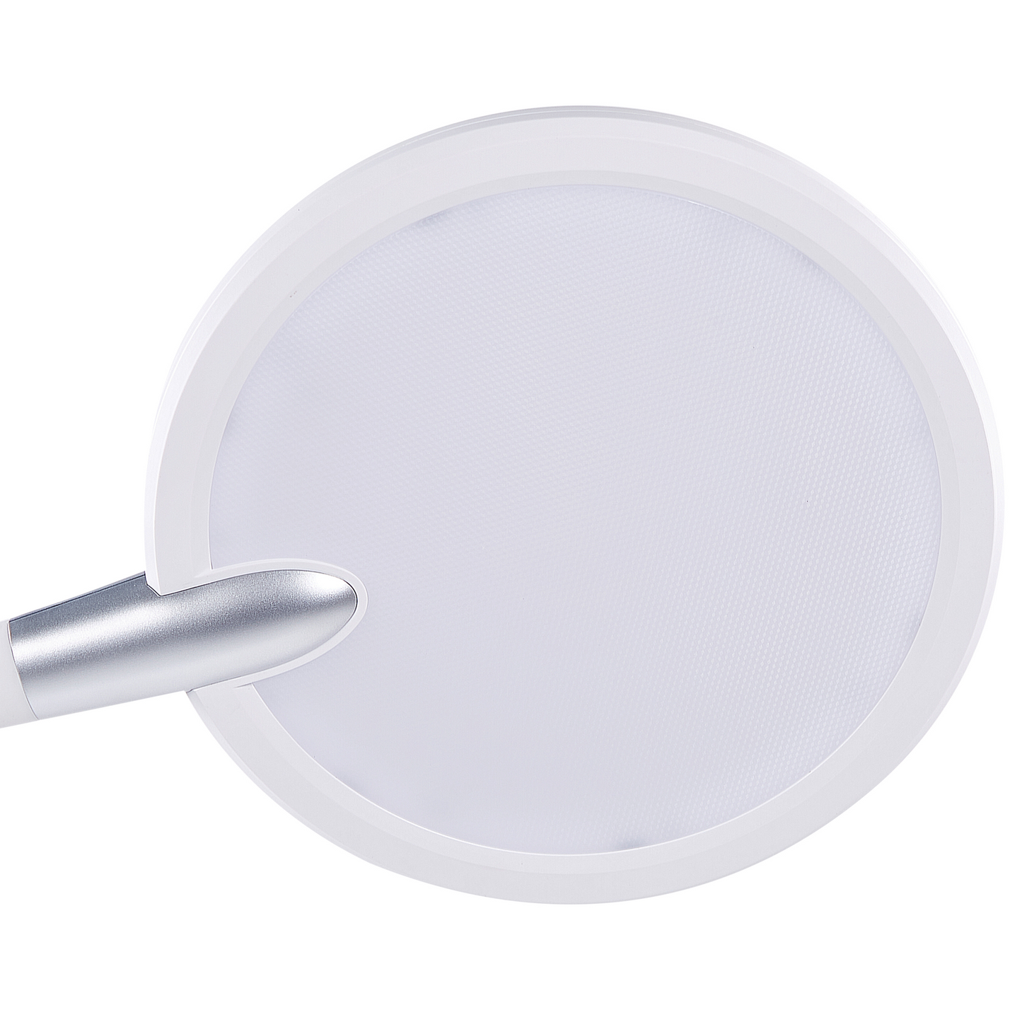 Floor LED Lamp 148cm Ring Dual Light Sources Dimmable White For Study And Home Office