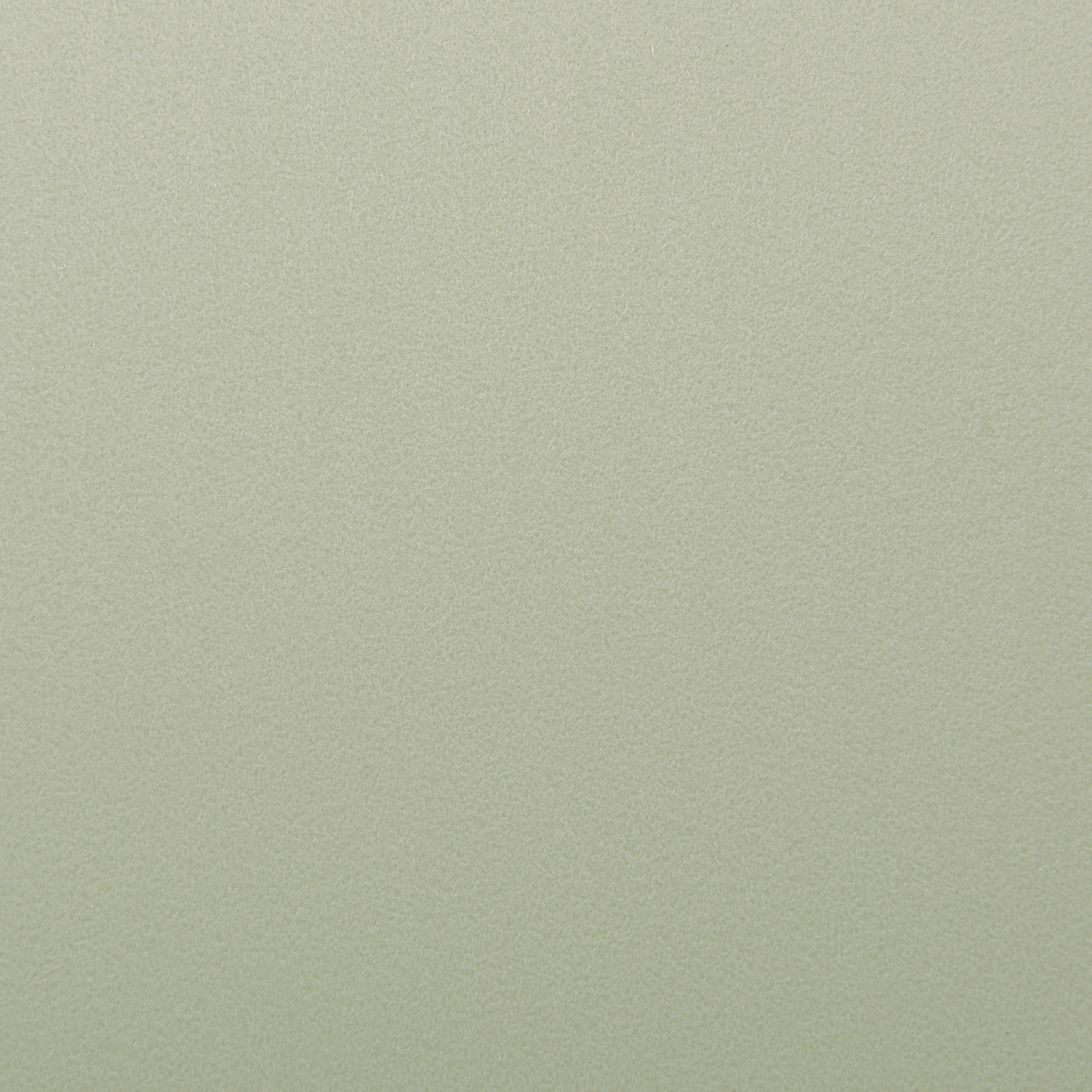 Set of 2 Light Green Padded Dining Chairs