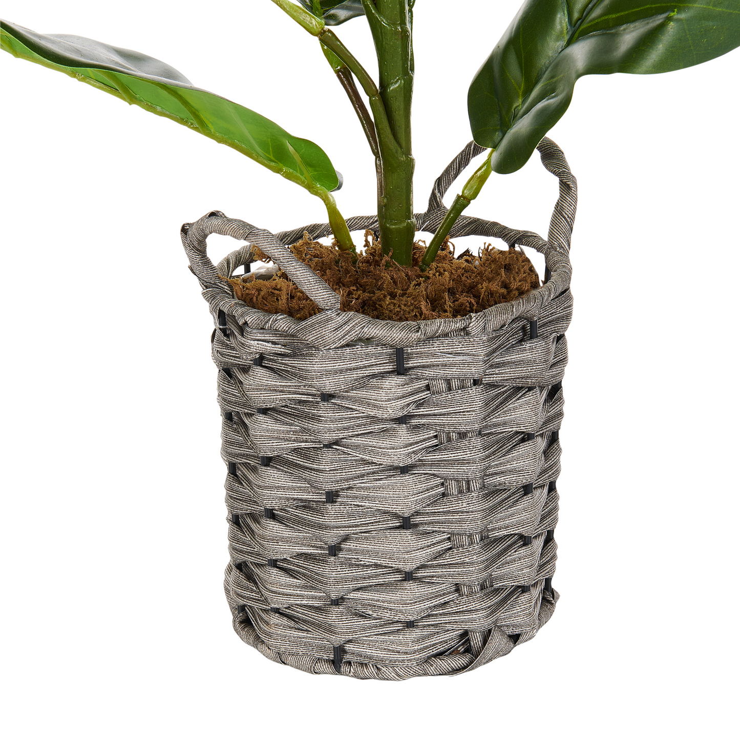 Fiddle Leaf Tree 72cm Green Potted Plant Realistic Leaves