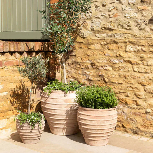 Aged Ribbed Terracotta Planters