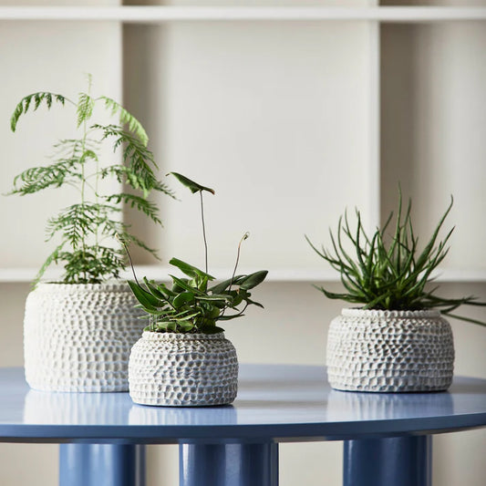 White Textured Concrete Plant Pots