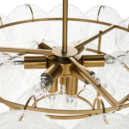Brass Lighting Chandelier 60cm Pendant With Glass Shells For Dining Room Ambience