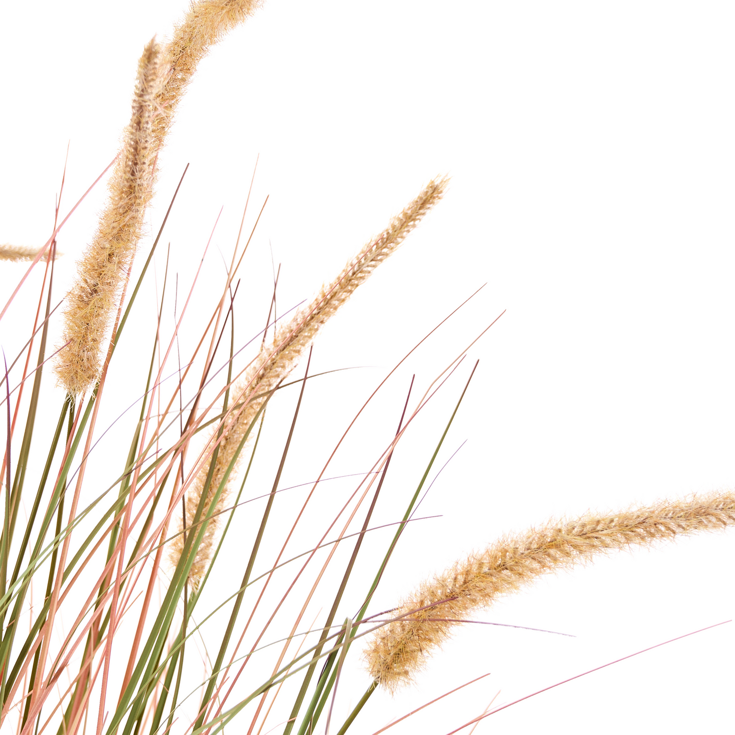 120cm Artificial Potted Plant Green Orange Reed Flower