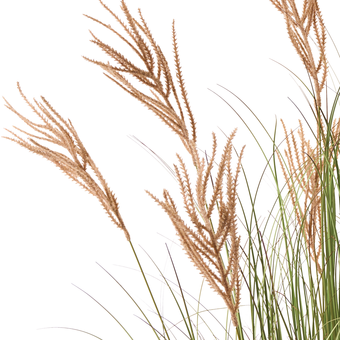 Fox Tail Green Brown Artificial Plant In Black Pot 150cm