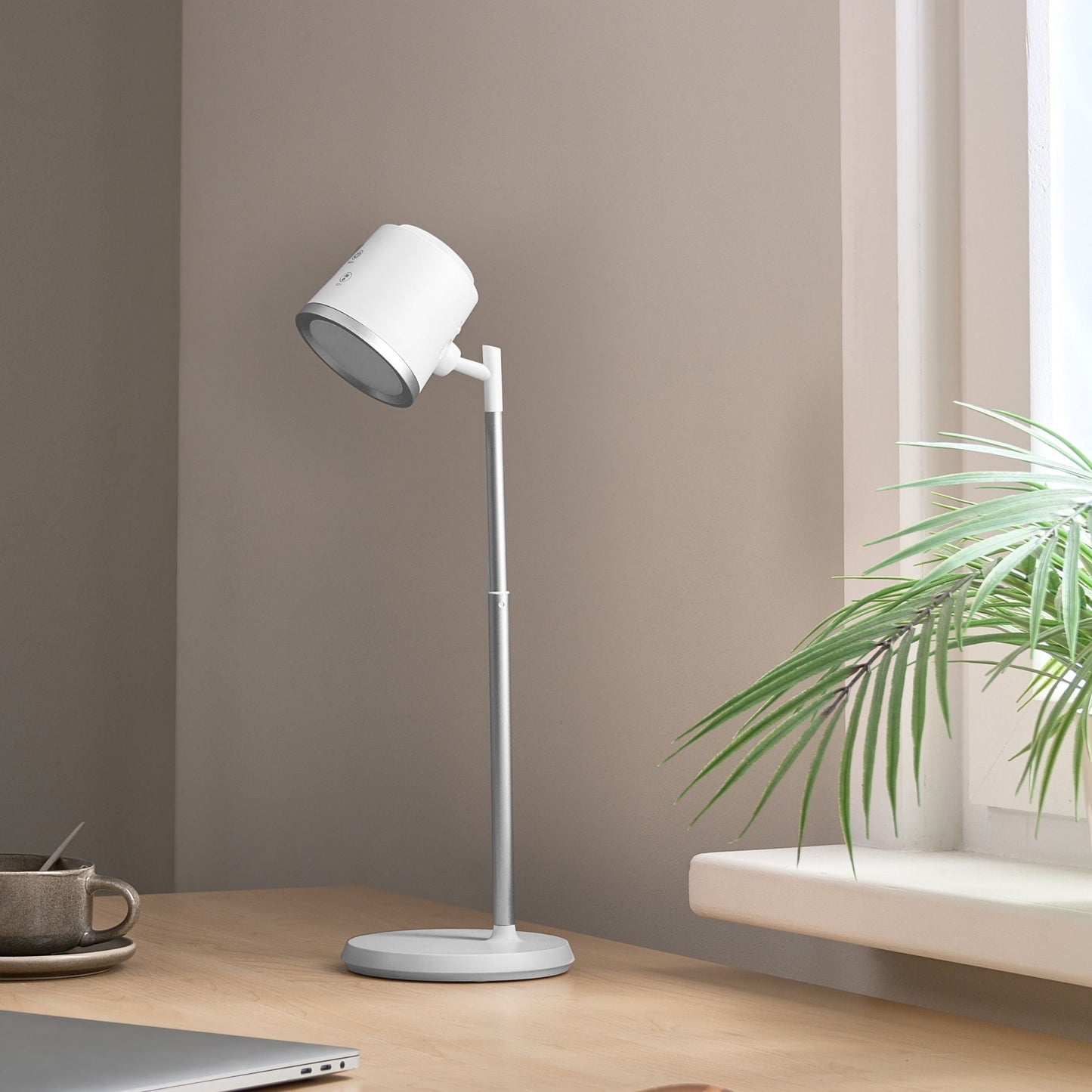 2-In-1 Desk Wall Lamp Detachable Arm Stepless Dimmer CCT