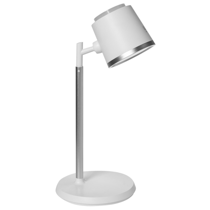2-In-1 Desk Wall Lamp Detachable Arm Stepless Dimmer CCT