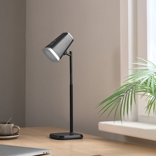 Black 2-In-1 Office Desk and Wall Lamp with Detachable Arm