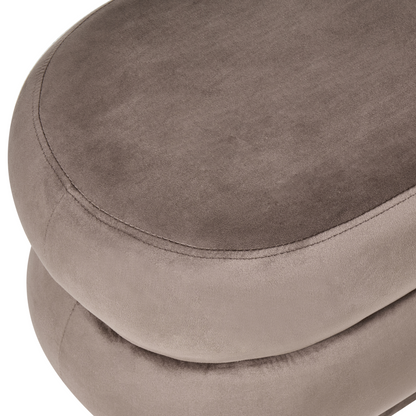 Plush Velvet Upholstered Bed Bench Dark Brown