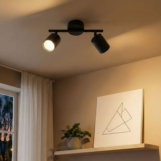 2 Light Spotlight Black Metal Ceiling Lamp Industrial Style