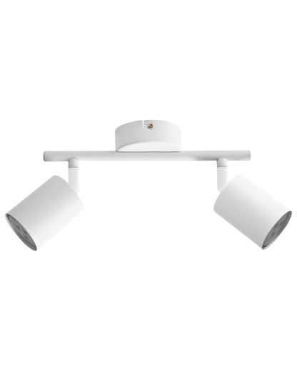 2 Light Spotlight Ceiling Lamp White Metal Industrial