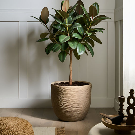 Beige Fibre Clay Planter With Decorative Fluting 47cm