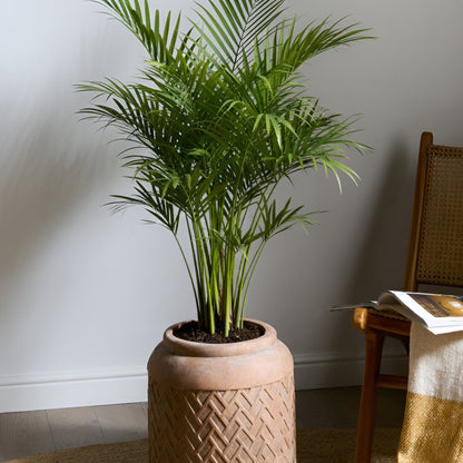 Beige Fibre Clay Flower Pot 35cm Indoor Outdoor