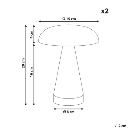 Set Of 2 Wireless USB C LED Table Lamps Gold Rechargeable