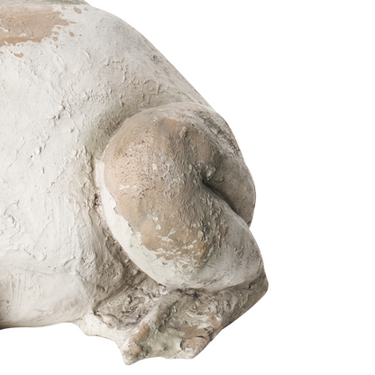 Frog Garden Figurine Beige 36 x 50 x 23cm Outdoor Accent