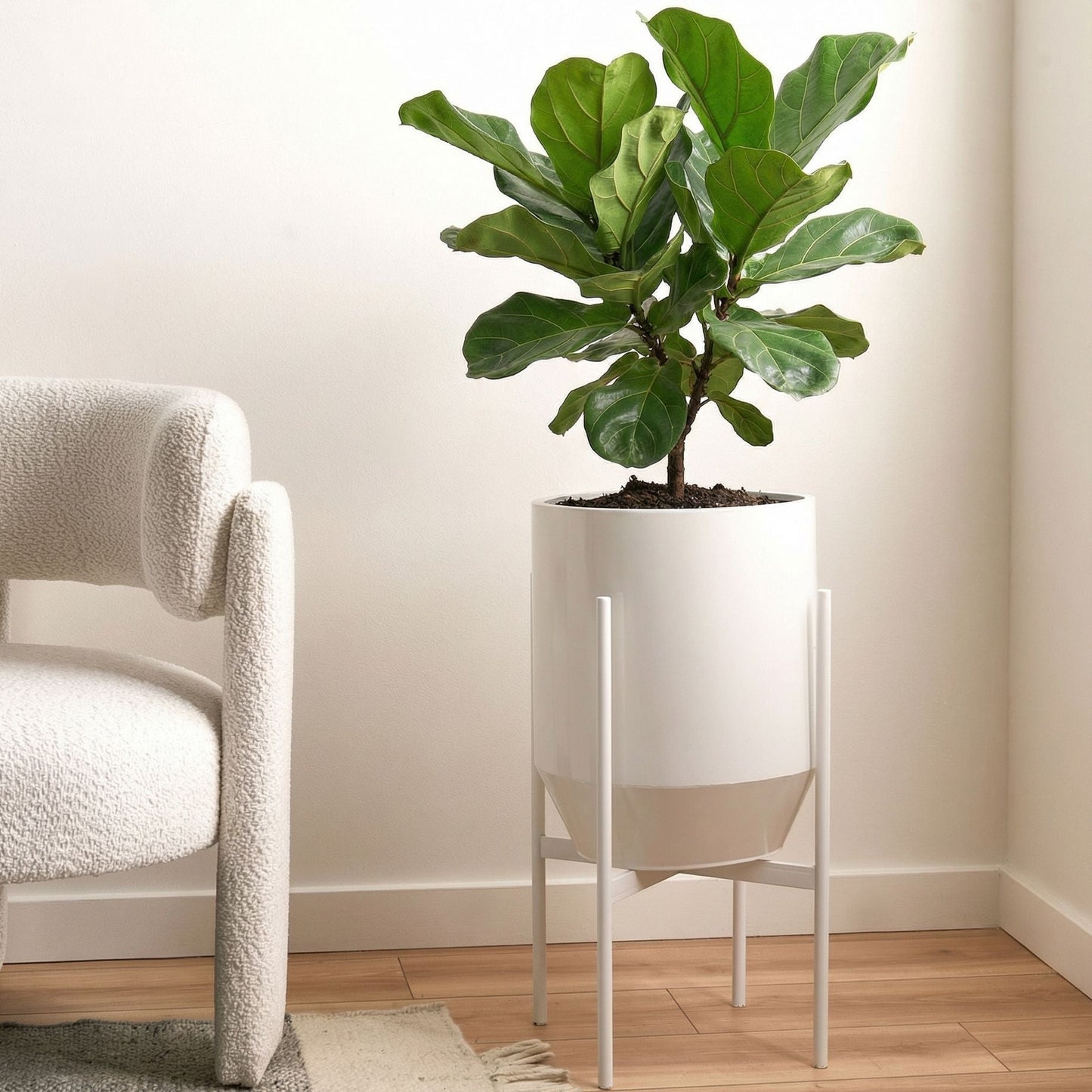 White Iron Plant Stand 33 x 33 x 62cm Indoor Modern