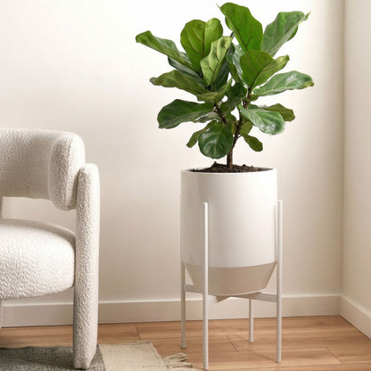 White Iron Plant Stand 33 x 33 x 62cm Indoor Modern