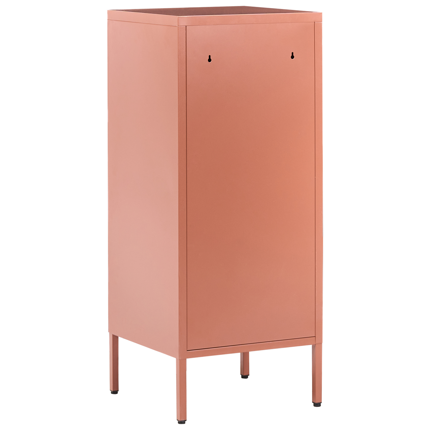 2 Door Storage Cabinet Golden Brown Steel Office 4 Shelves