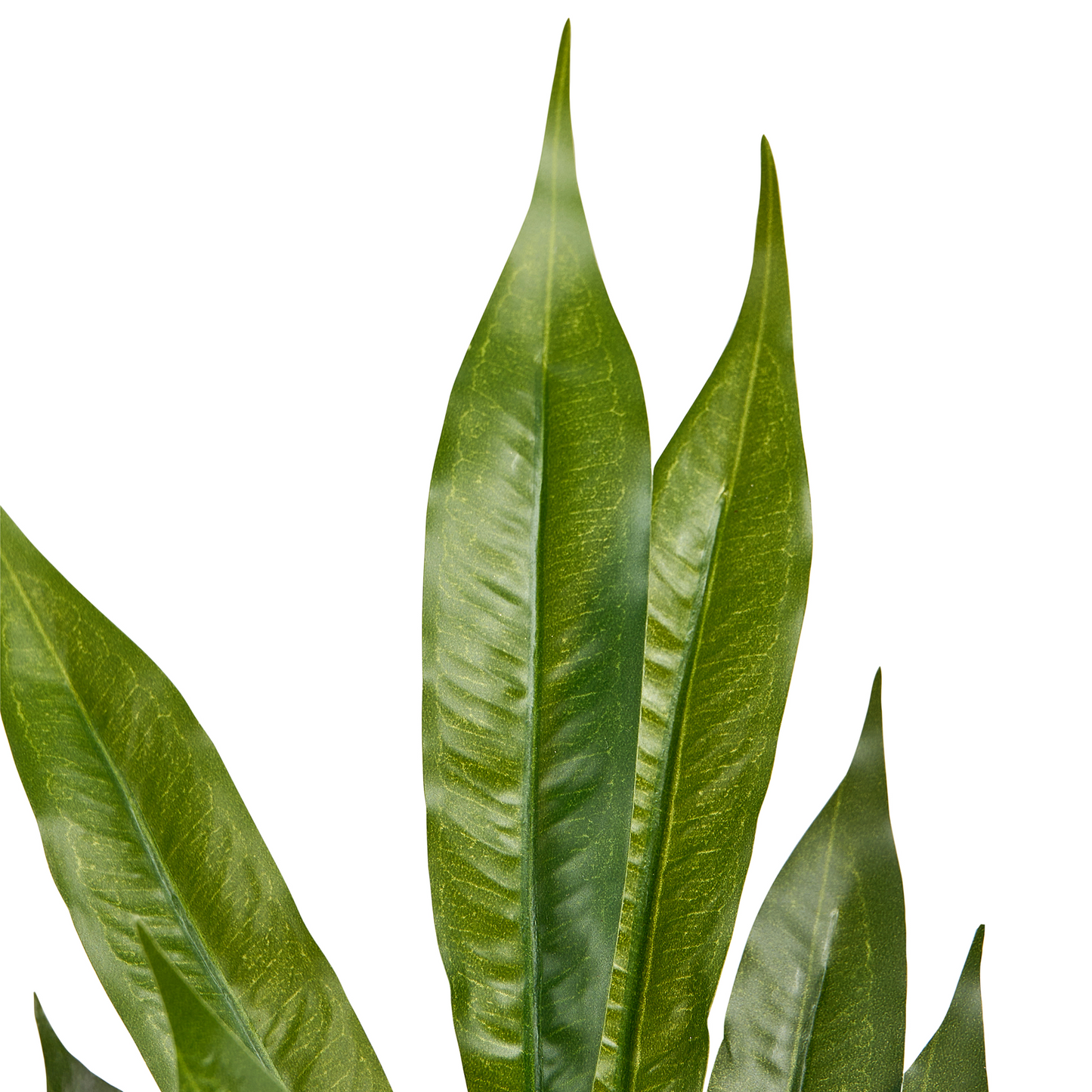 Home Studio Artificial Potted Indoor Tree 180cm Realistic Green Leaves