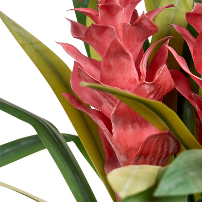 Faux Guzmania Plant Red Bloom Indoor Decor