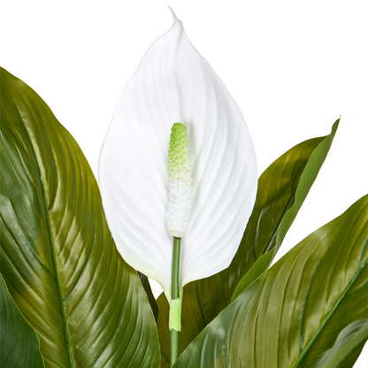 Faux Peace Lily Plant Realistic Green Leaves