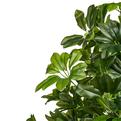 175cm Lifelike Potted Umbrella Tree Artificial Plant
