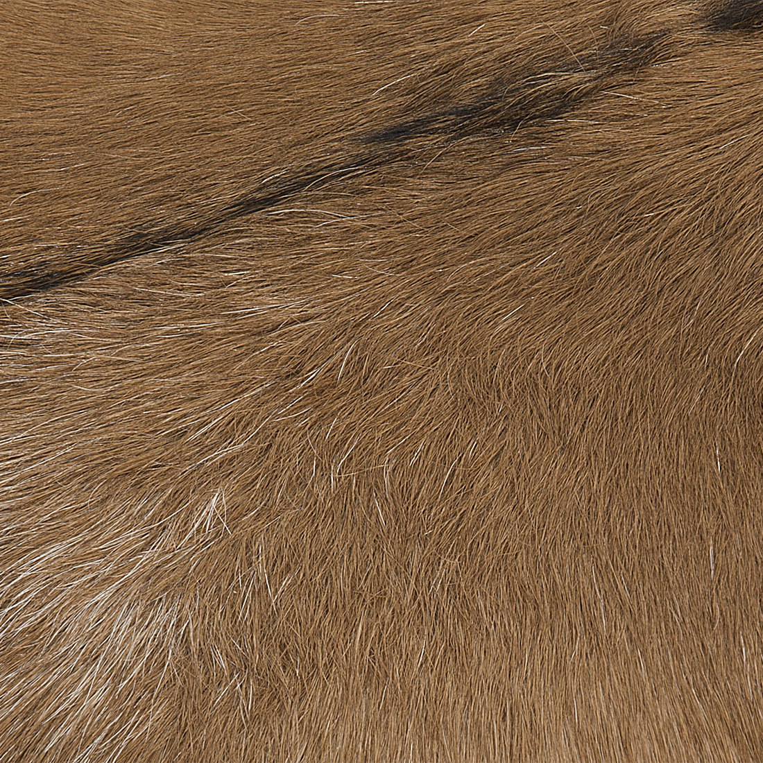 Footstool Animal Print Lambskin Leather With Teak Legs