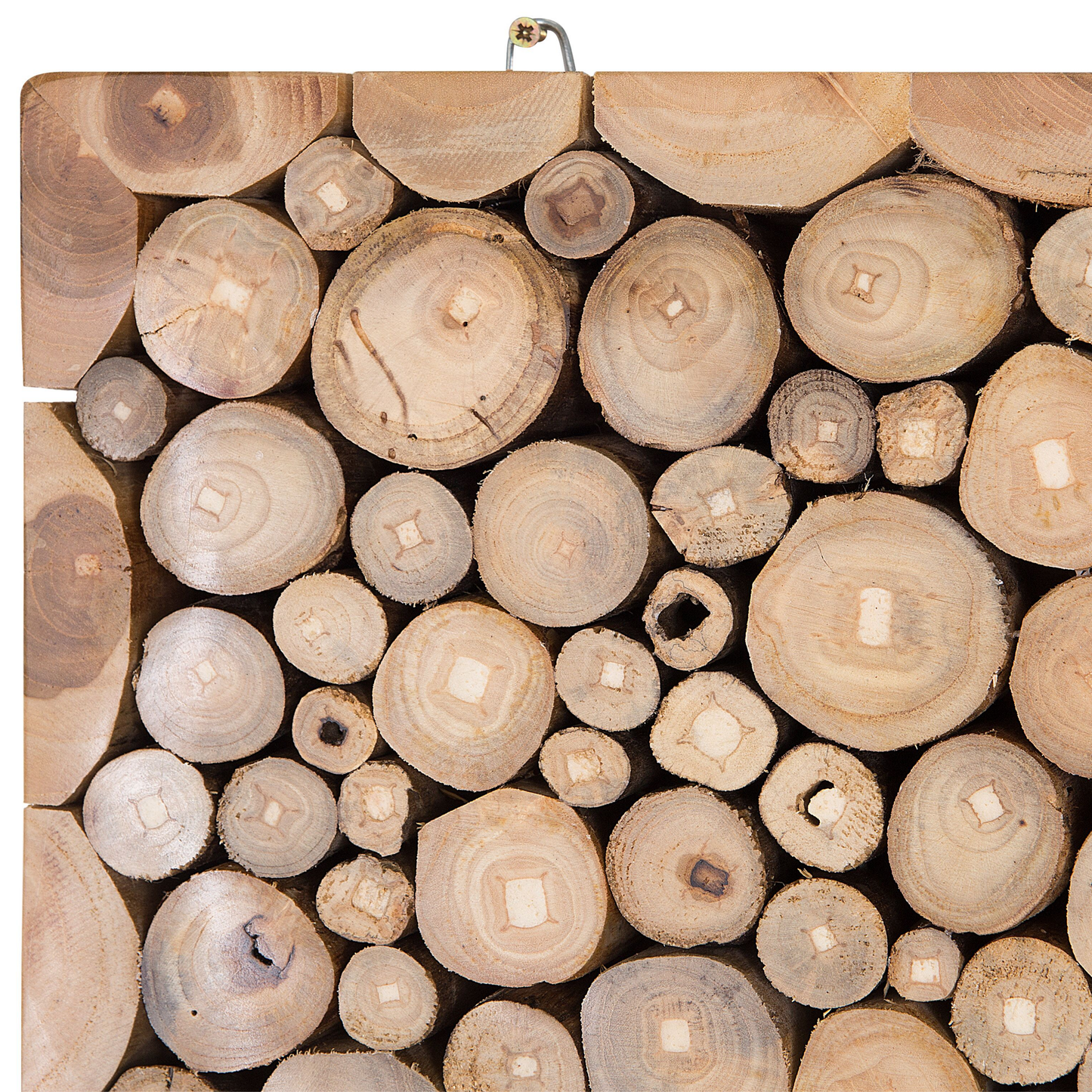 Wall Decor Teak Cross Section Art In Light Brown