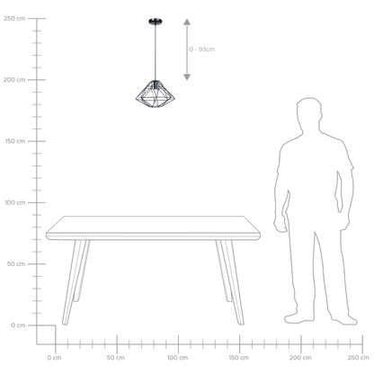 Naked Wire Black Geometric Cage Pendant Light