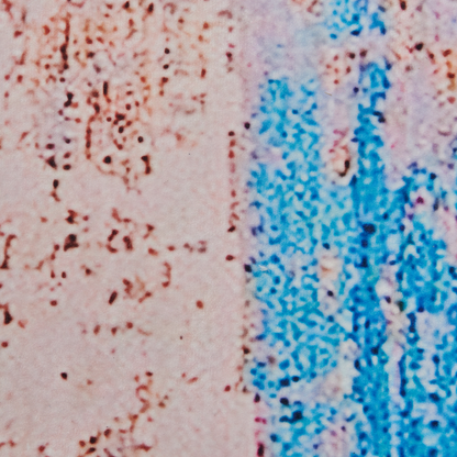 Blue Abstract Distressed Pattern Area Rug 80 x 150cm Polyester Durable Rubber Coated Bottom