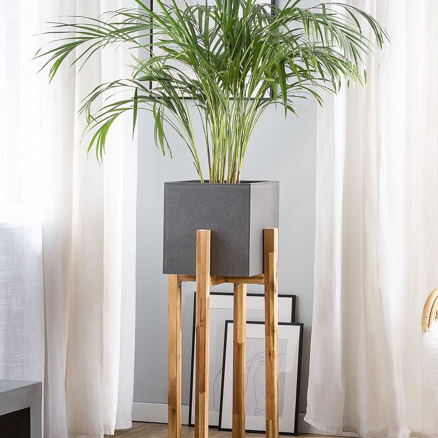 Urbania Grey Concrete Plant Stand 30 x 30cm Solid Wood Base