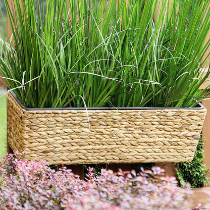 Plant Pot Beige 60 x 20cm Water Hyacinth With Drain Holes