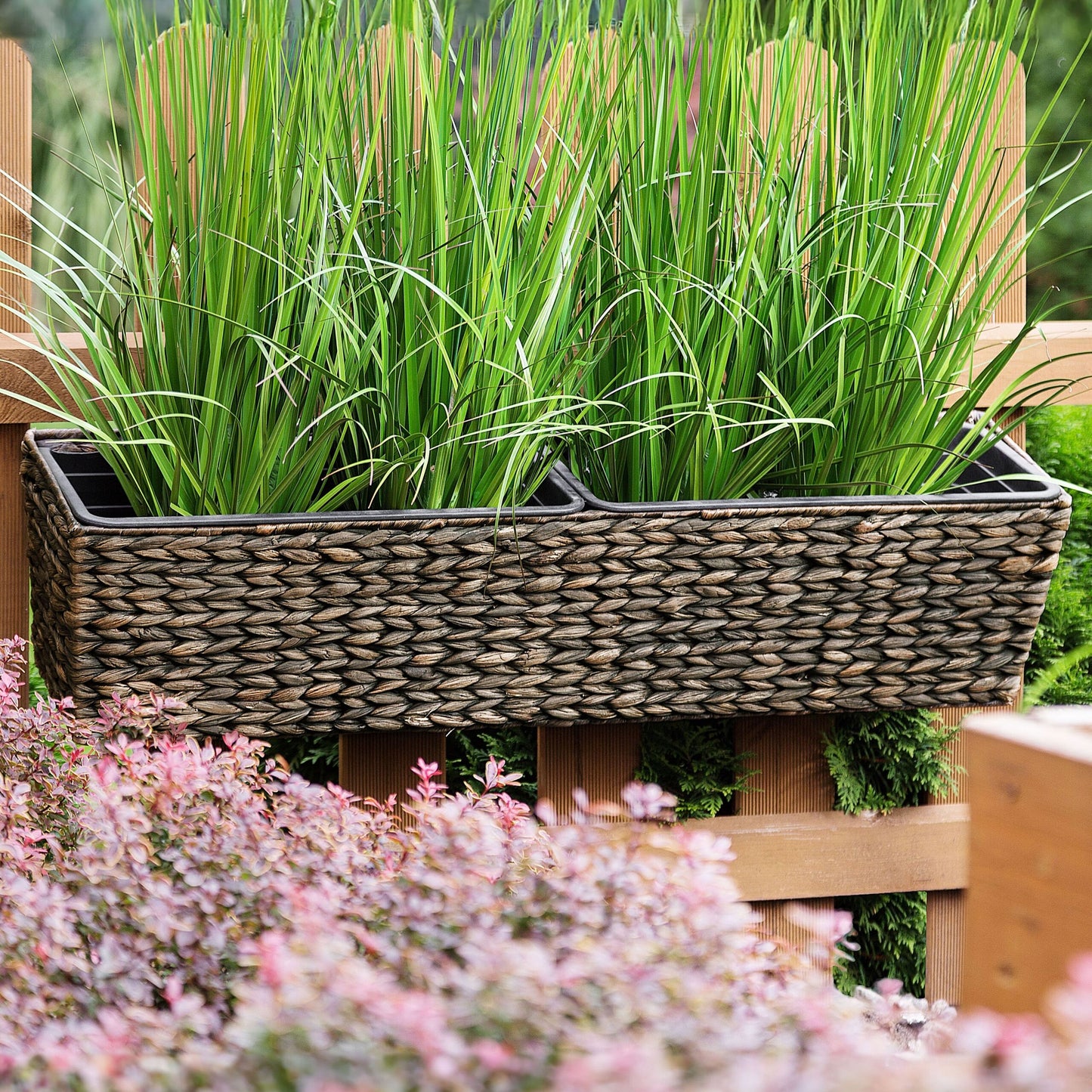Brown Water Hyacinth Plant Pot 80 x 20cm Drain Holes