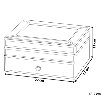 Mirrored Jewellery Box Silver 22 x 17 Vanity Organizer