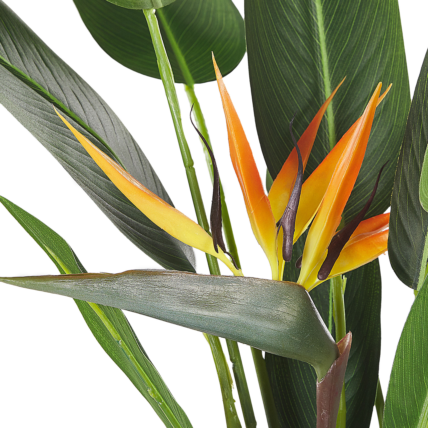Strelitzia Tree Artificial 115cm Green Black LowMaintenance