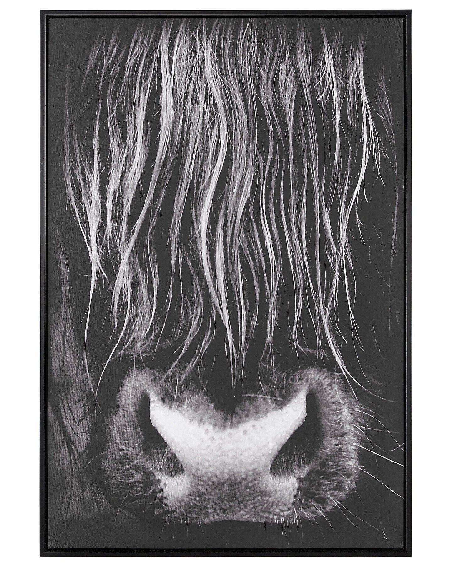 Bull Canvas Art Print Black 93x63 cm Modern Frame