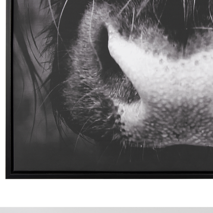 Bull Canvas Art Print Black 93x63 cm Modern Frame