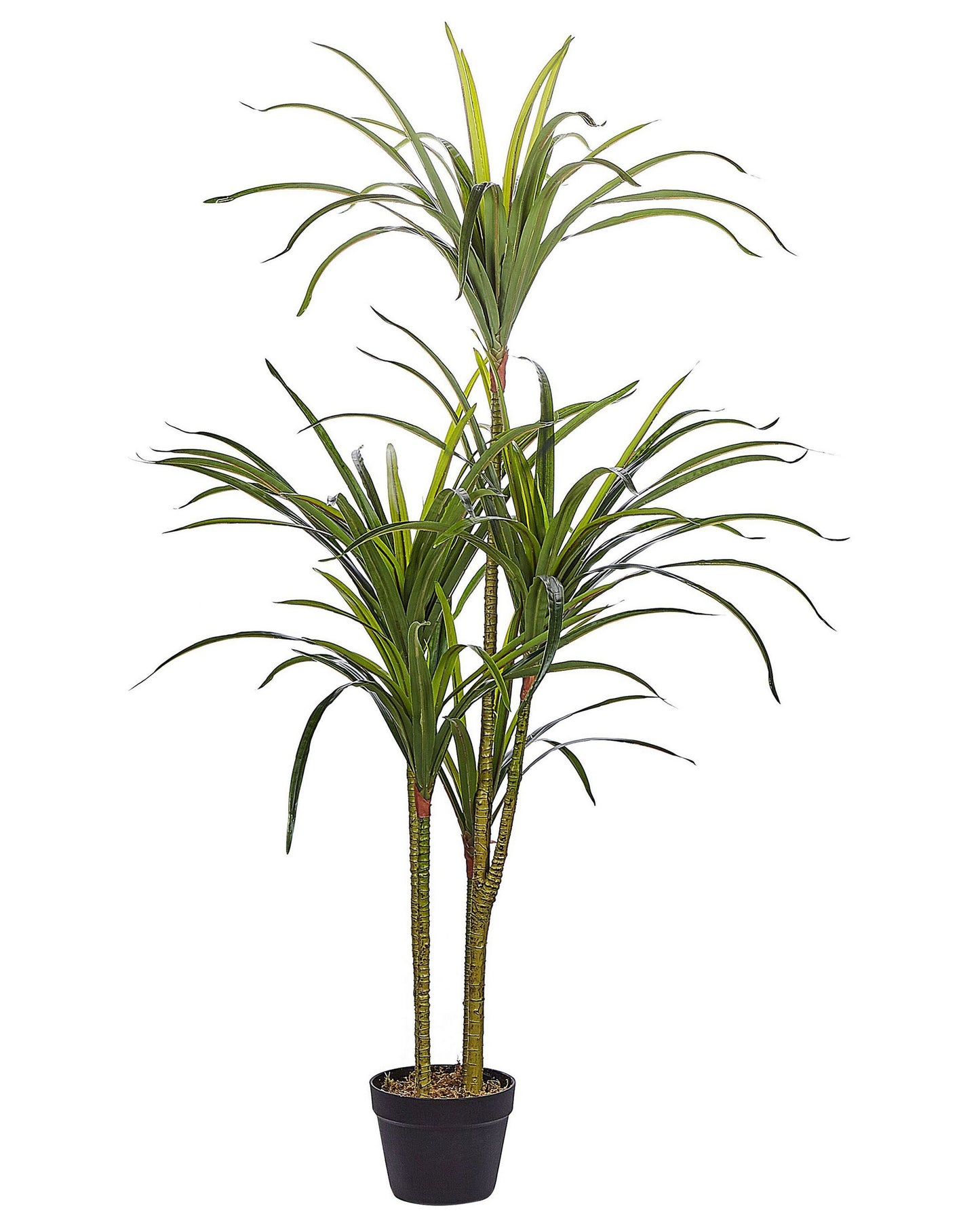 Green Artificial Dracaena 147cm Tall Potted Indoor Plant
