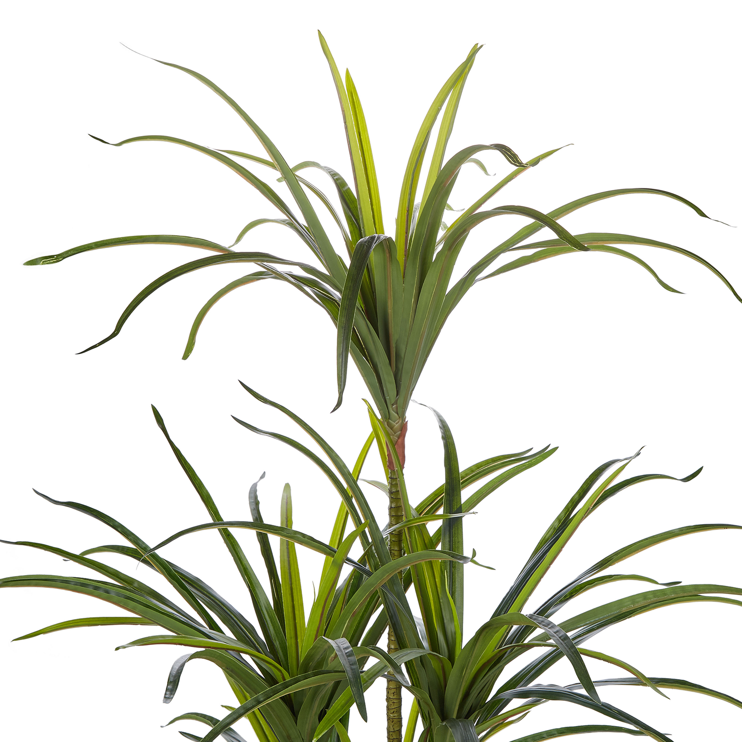 Green Artificial Dracaena 147cm Tall Potted Indoor Plant