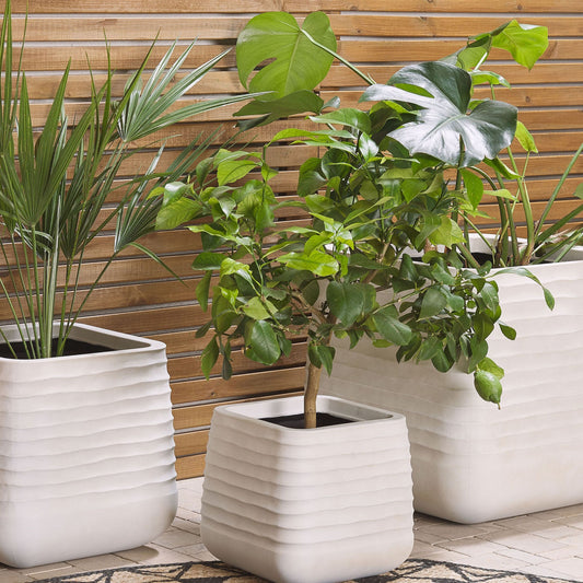 Set Of 3 Large Dirty White Polyresin Planters UV Resistant