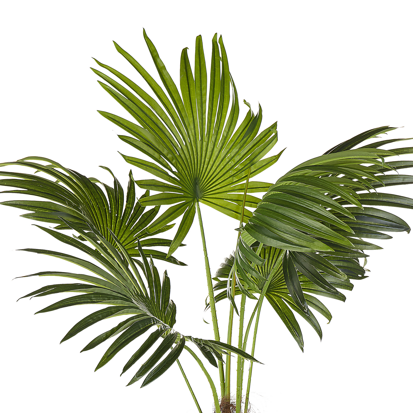 Artificial Potted Fan Palm Plant 100cm Green and Black
