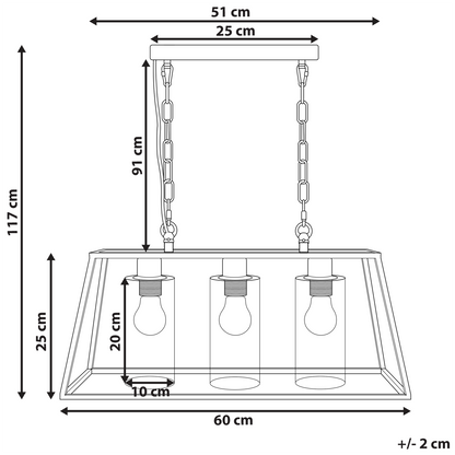 Pendant Lamp Black Cage Frame 117cm Glass Shades