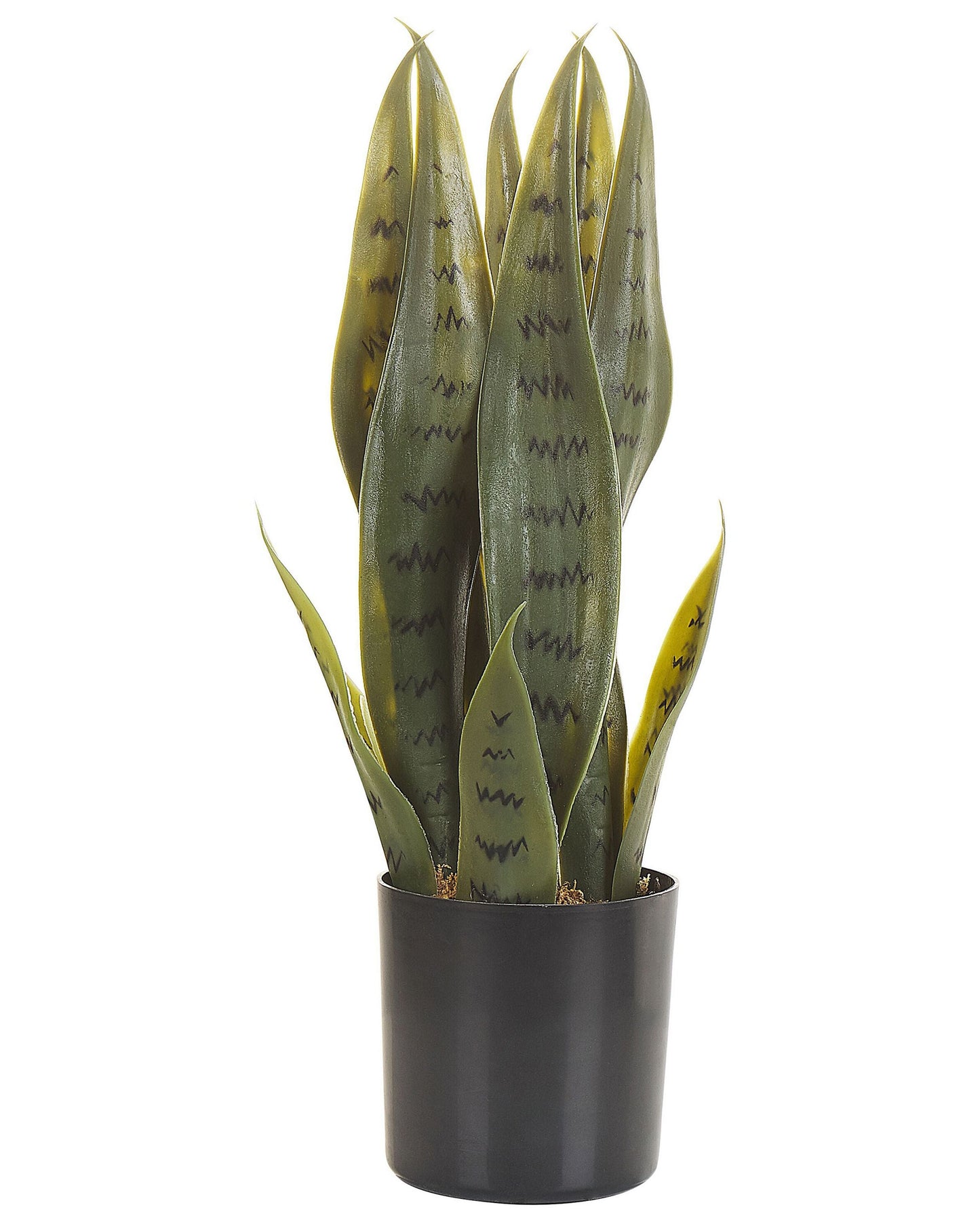 Artificial Snake Plant 40cm Green And Black Potted Decor