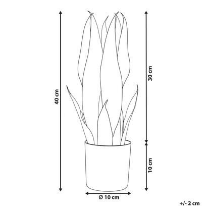 Artificial Snake Plant 40cm Green And Black Potted Decor