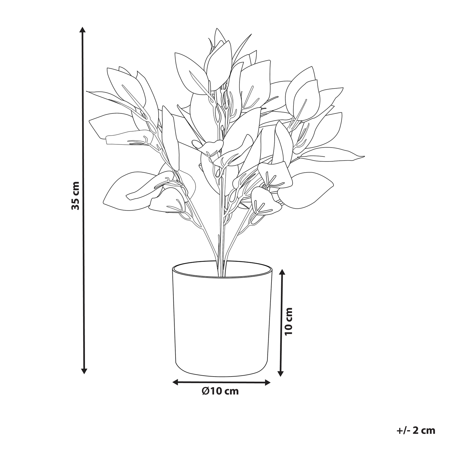 Tradescantia Plant In Black Pot 35cm Green Burgundy