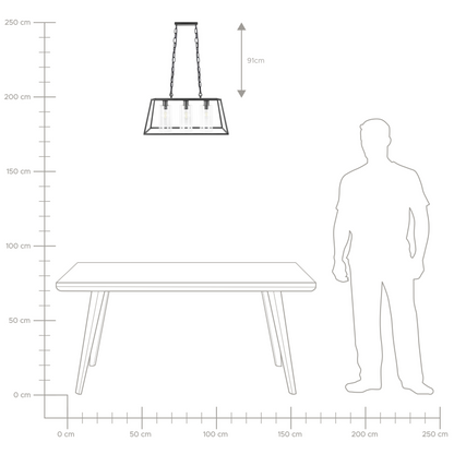 Pendant Lamp Black Cage Frame 117cm Glass Shades